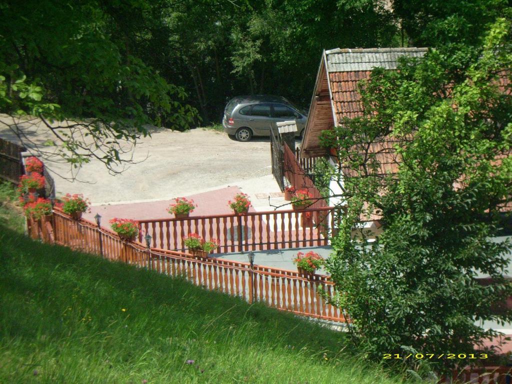 Pensiunea Tinelu Brasov Săcele Eksteriør bilde